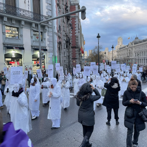 Erasmus - Job shadowing - Madrid 2025 (26)