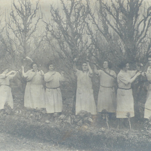 Coëtlogon - La taille des arbres