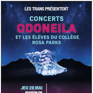 Lycée professionnel Coëtlogon - RPIP PG - Transmusicales - Affiche Odoneila - Luka