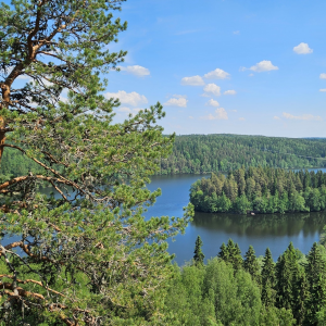 Mobilité - Coëtlogon - Finlande - 2024 - 06