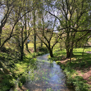 Sur le chemin de Saint-Jacques de Compostelle - 01