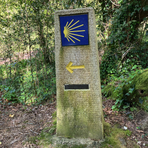 Sur le chemin de Saint-Jacques de Compostelle - 02