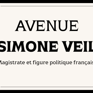 Panneaux escaliers et hall - 04