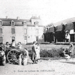 Coëtlogon - Préparation de la traite