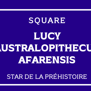 Panneaux de rue - 04