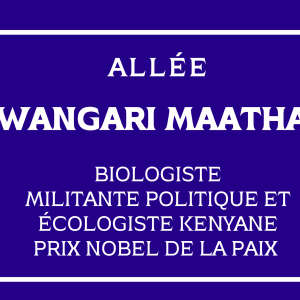 Panneaux de rue - 01