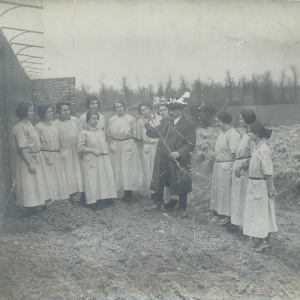 Coëtlogon - Arboriculture