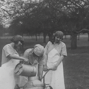 Coëtlogon - Traite en plein champ (3)